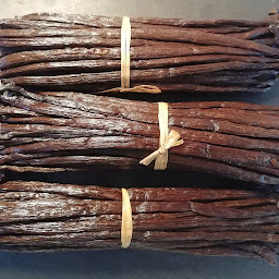 Photo n°5 de Lengronne Sébastien à Agon-Coutainville (Aire de restauration)