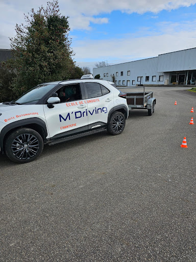 M Driving - Visual
