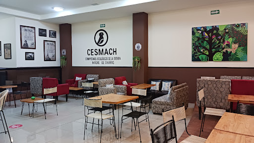 Cesmach Café - Visual