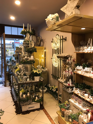 Style & Bloom - Visual