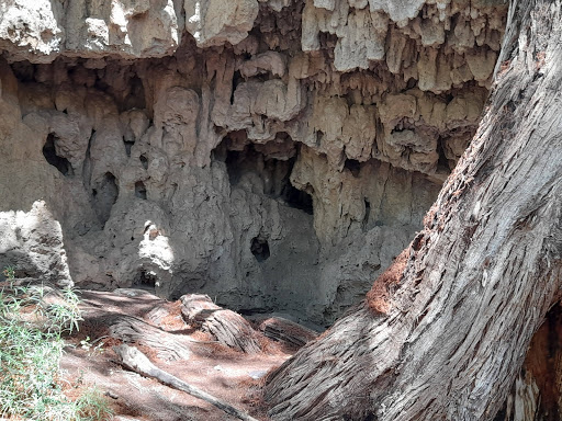 La Barranca De San Quintín - Thumbnail
