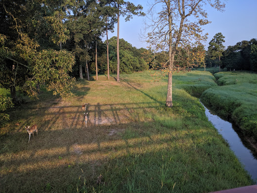 Cattail Park - Visual