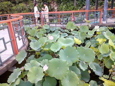 Photos of Sun Yat Sen Park
