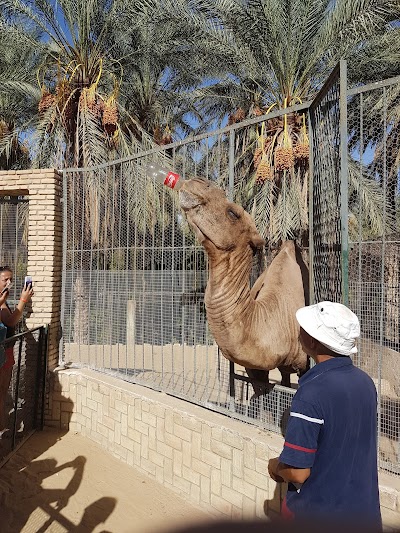 Desert Zoo