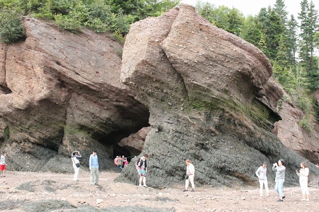 Hopewell Rocks Park