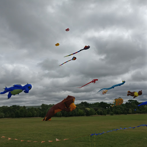 Polo Ground - Visual