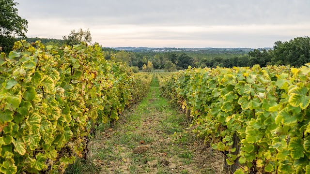 La Grande Maison - Visite de Cave Producteur de Vin Bio Monbazillac Dordogne