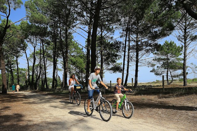 Camping Campéole le Vivier