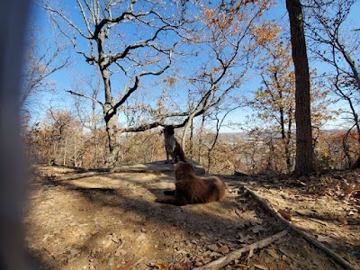 Turkey Mountain Urban Wilderness