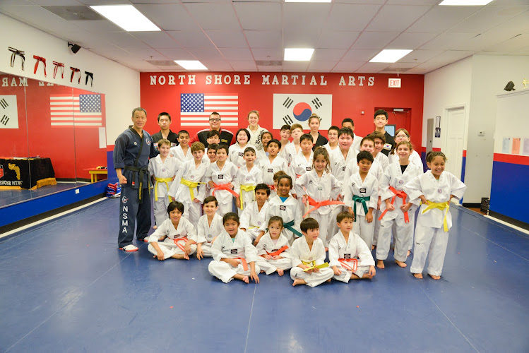 North Shore Martial Arts - taekwondo in Morton Grove, Illinois