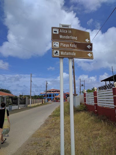 Photos of Go West Diving Curacao