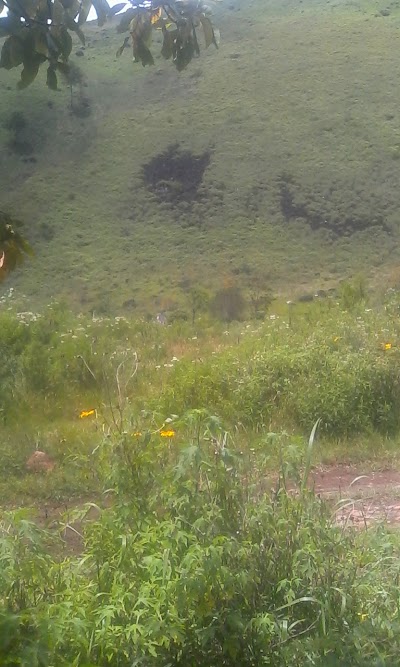 Photos of Dolok Simargolang