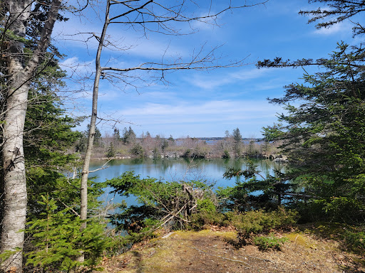 Clark Island Preserve - Thumbnail
