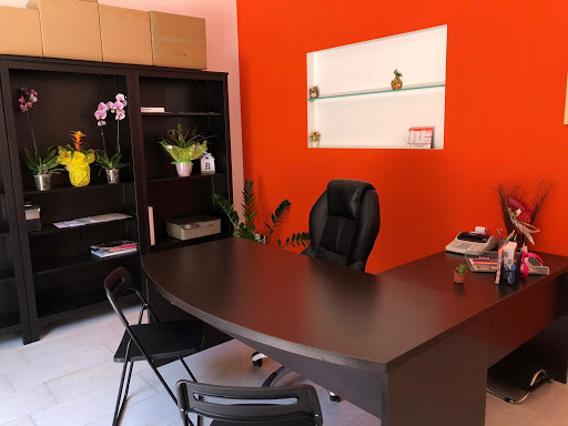 Business Solution S.R.L.S. - Visual