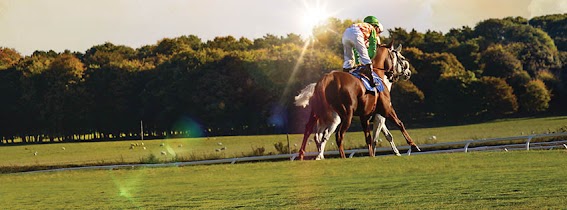 The Curragh Racecourse