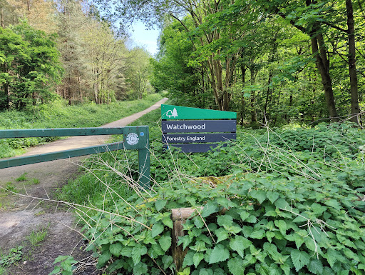 Watchwood Gallery - United Kingdom