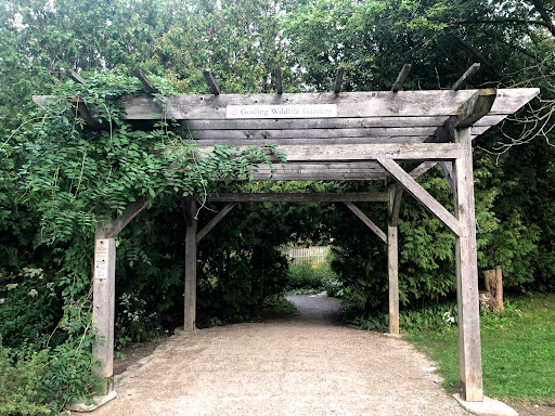 Gosling Wildlife Garden - Thumbnail
