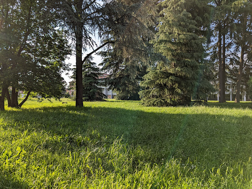 Scuola Media Statale "Lorenzo Milani" - Thumbnail