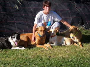 Photo n°3 de Aux Joyeux 4 Pattes à Saint-Martin-en-Haut (Dresseur pour chiens)