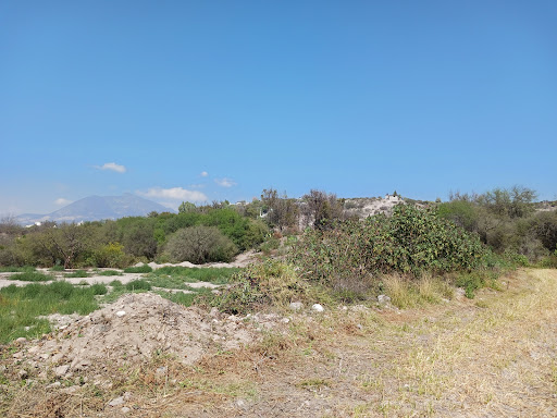 Bondhi - Visual