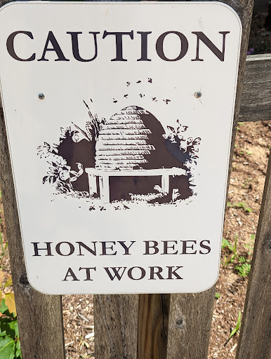 Beekeeping Exhibit - Visual