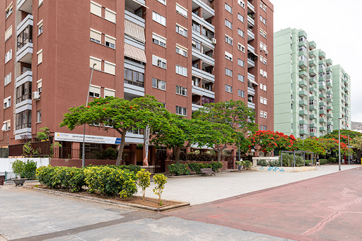 Gomermedi Olímpico | Certificados Médicos | Reconocimiento Conductores