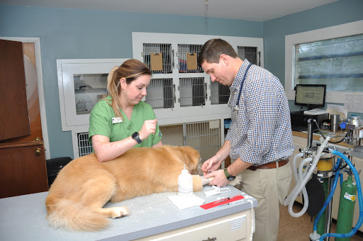 Valleydale Animal Clinic - Thumbnail