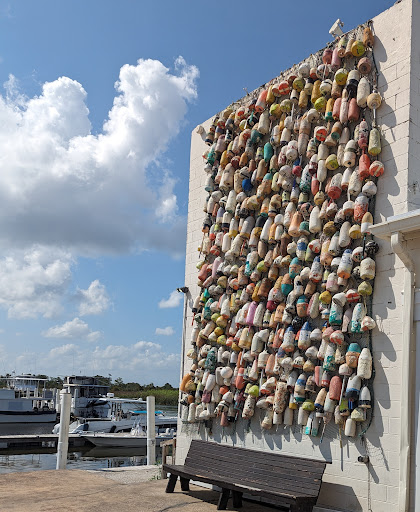 Half Shell Dockside - Visual