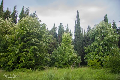 Photos of парк "Бедечка"
