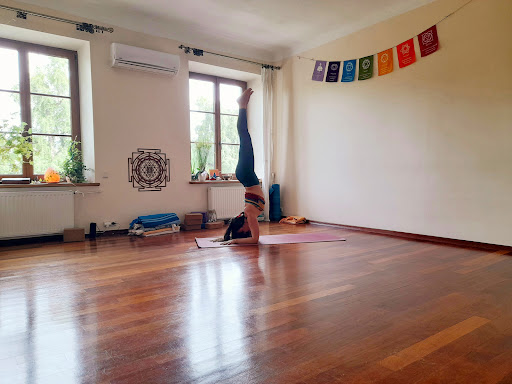 YogiTribe: Vinyasa Yoga Studio