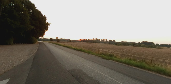 Kommentarer og anmeldelser af Butterup kirke (Butterupvej)
