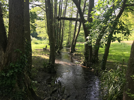 Vallon de la Dollée