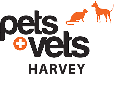 Harvey Veterinary Hospital - Thumbnail