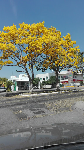 Asociacion Mexicana de Profesionales Inmobiliarios de Colima S.A. de C.V.