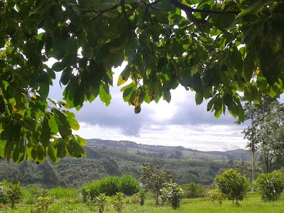 Photos of Facultad de Ciencias Agrarias - Universidad del Cauca