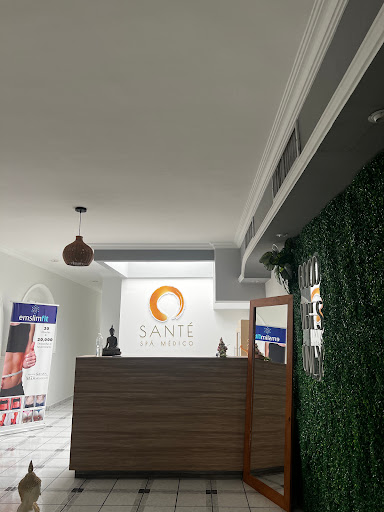 Santé Medical Spa Logo