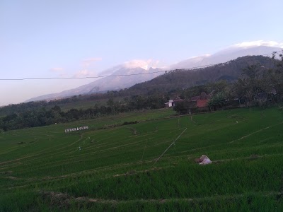 Photos of The village government Kebonagung