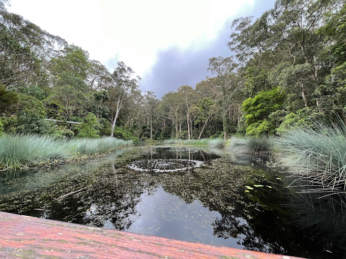 Blackbutt Nature Reserve