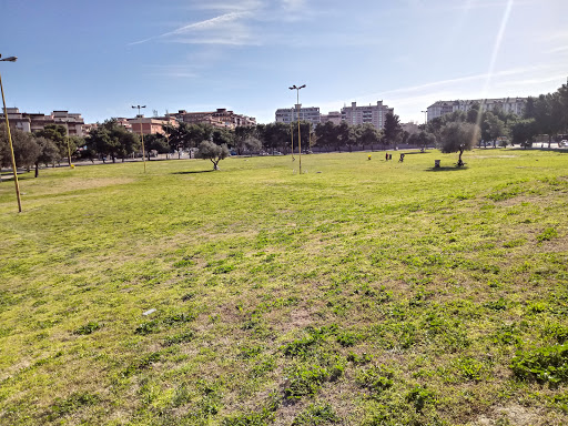 Parco Città - Visual