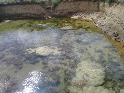 Photos of Domaine TA Agriculture