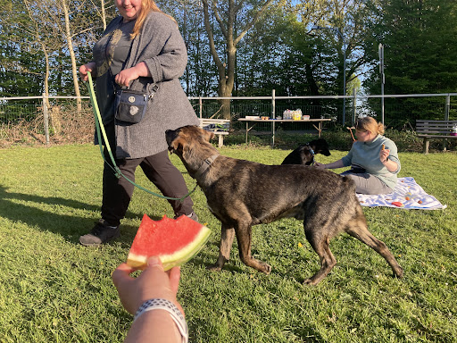 Hundeschule Revital Gallery - Germany