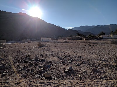 Photos of بئر زور