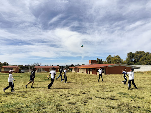 ESCUELA SECUNDARIA TECNICA 141