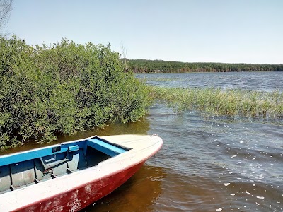 Photos of Detskiy Lager' "Sokol"