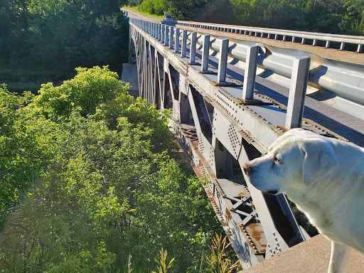 Bryan Bridge - Visual