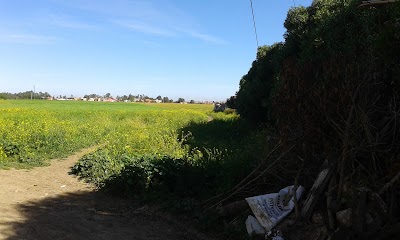 Photos of Lakhedar Mohammed Terrain