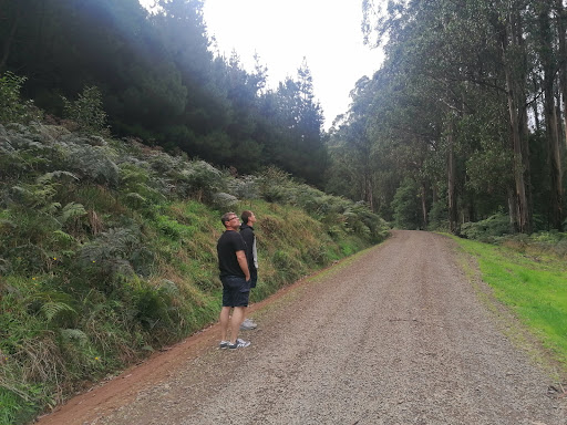 Checking Station Campground - Visual