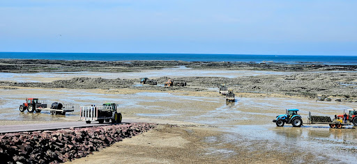 Point de vue Blainville-sur-mer Gallery - France