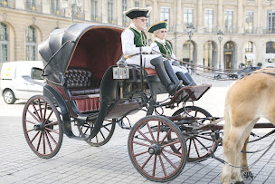 Photo n°3 de ECURIES DU VIEUX CHATEAU à Lumigny-Nesles-Ormeaux (Centre de randonnée équestre)