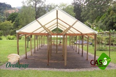 Photos of Centro de Acopio de Setas La Orellana
